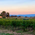 Tradiční zářijový výlet do Provence: Chateau Juvenal a Domaine de la Citadelle